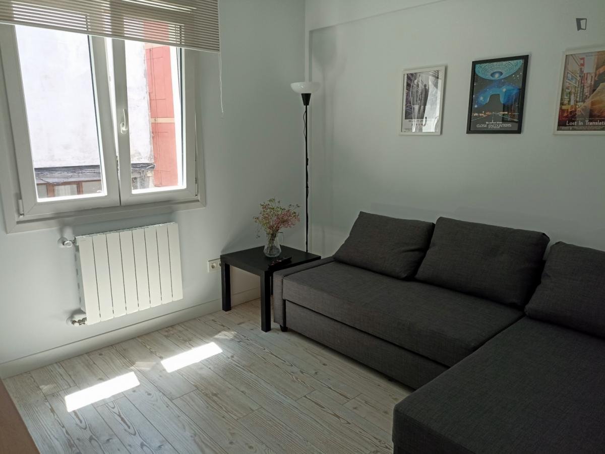 Habitació de lloguer, Bilbao