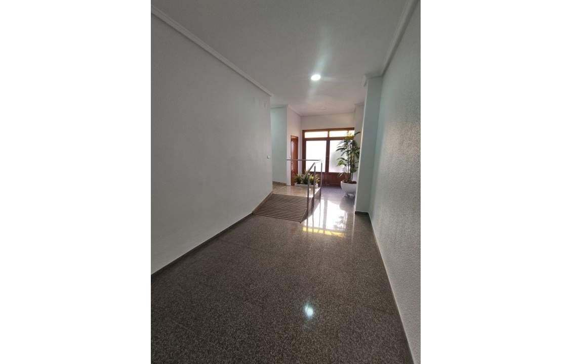 Quarto 120 m², Elx / Elche