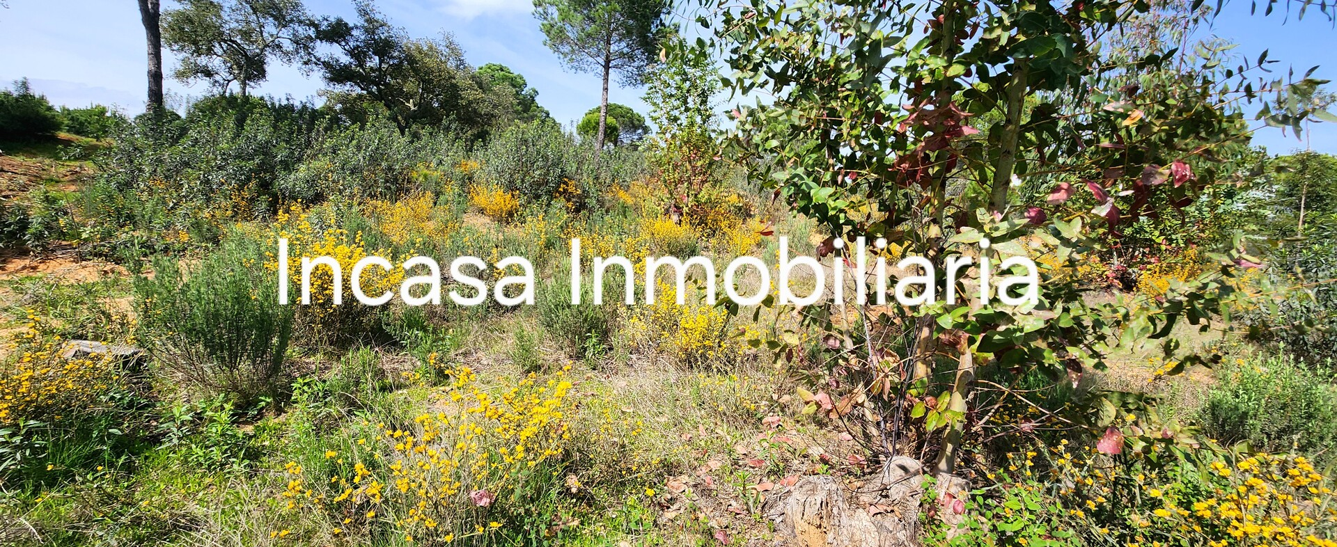 Appartamento 30 m² a Valverde del Camino