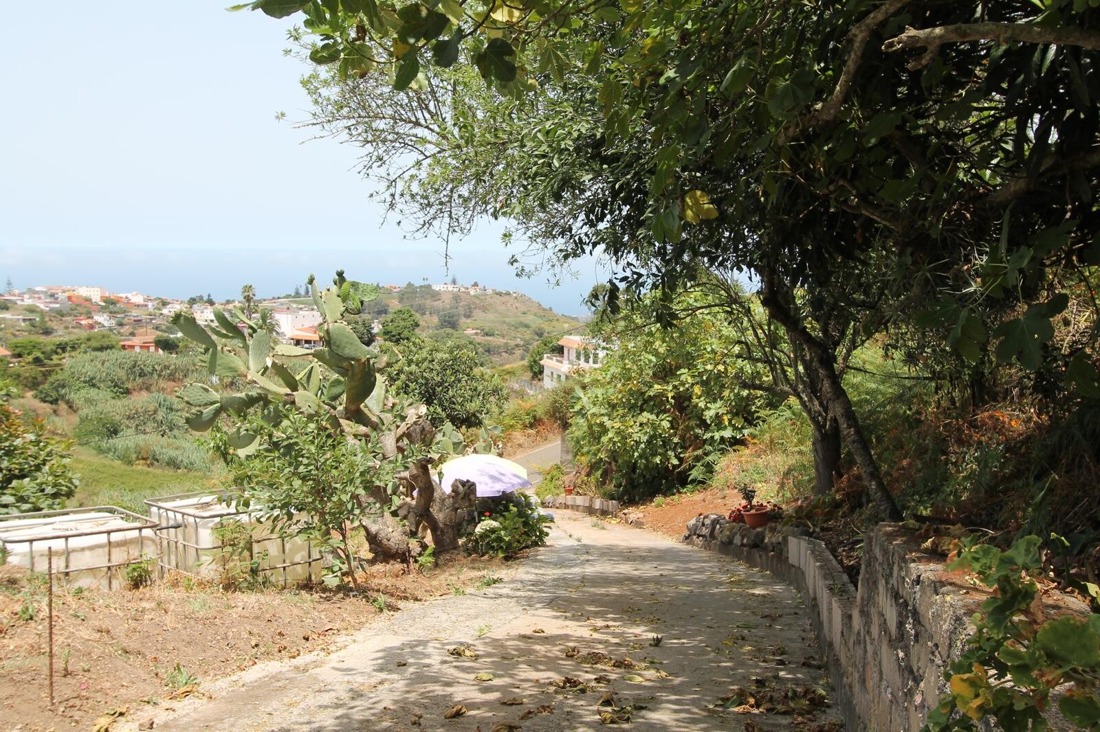 Casa de 80 m² a Firgas