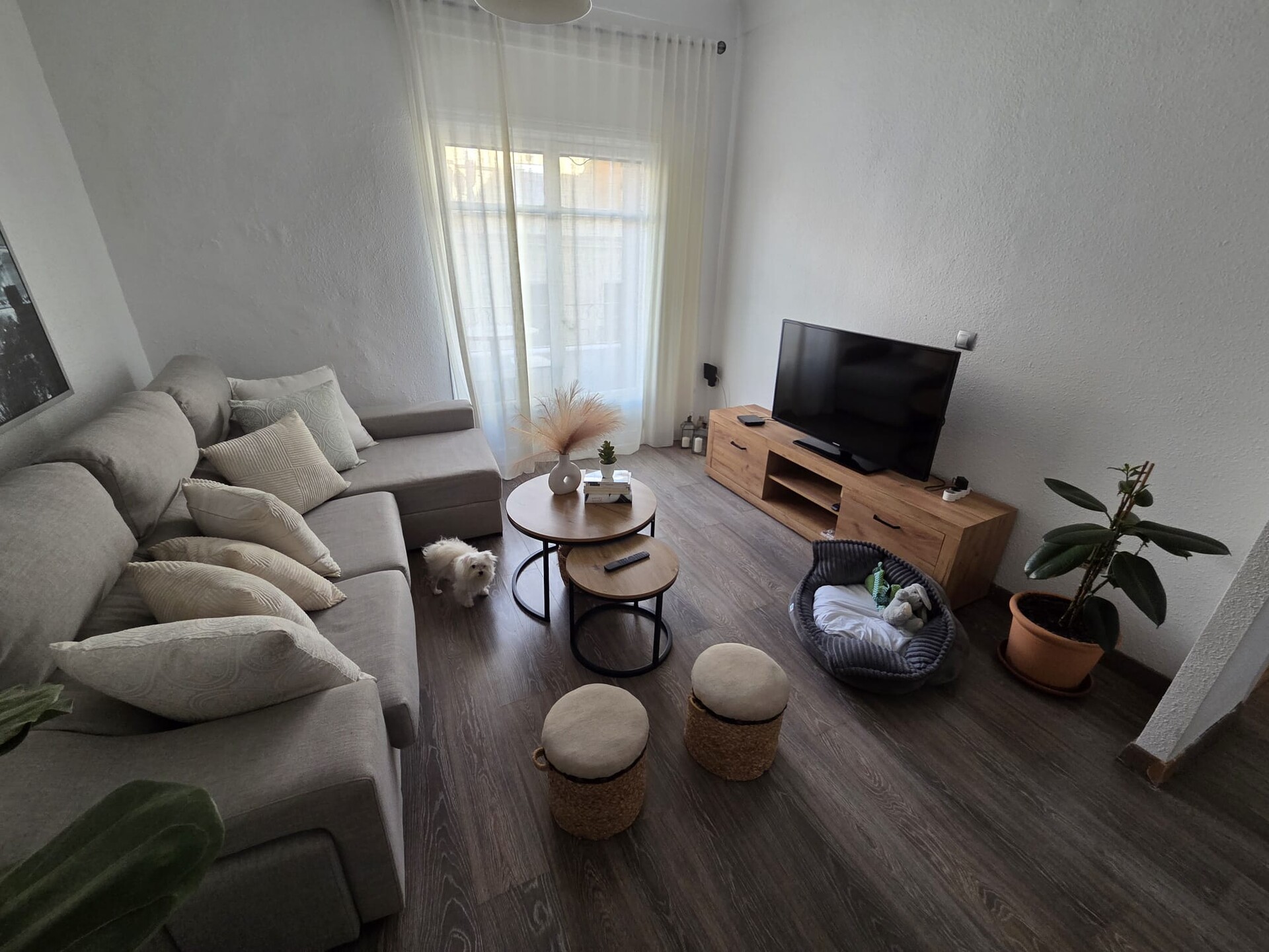 Stanza 12 m², Alacant / Alicante