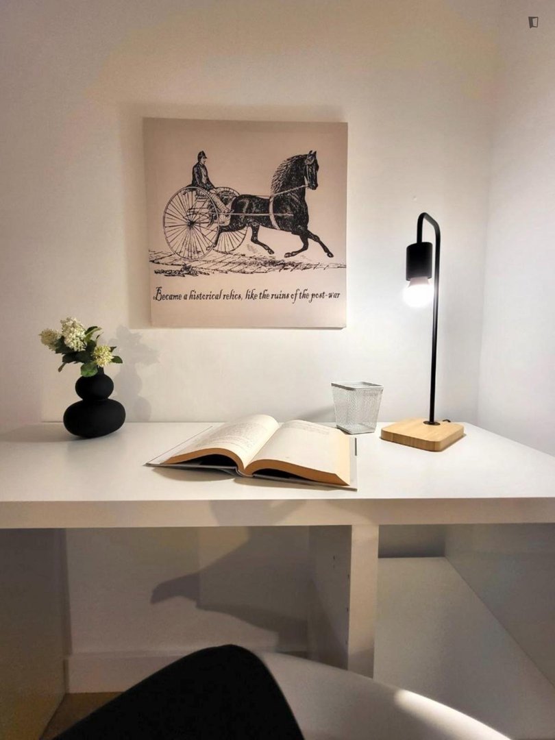 Habitació de lloguer, Alacant