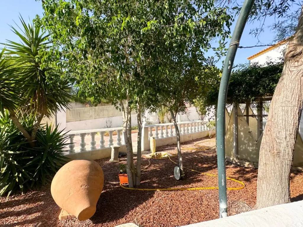 Piso de 500 m² en Pilar de la Horadada