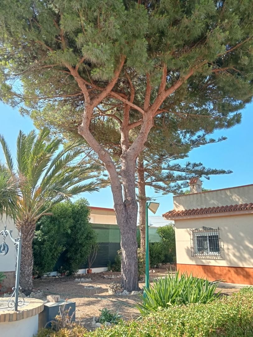 Casa de 120 m² en Chipiona