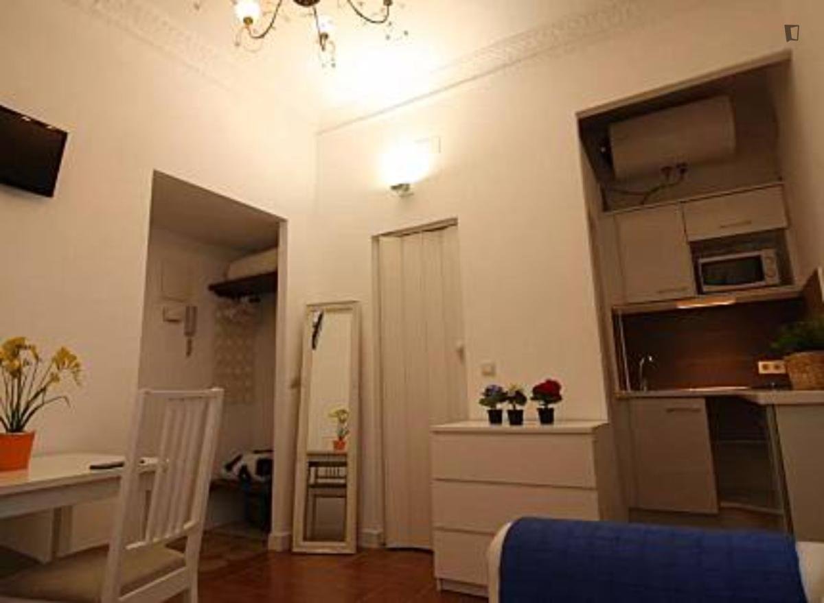 Pis de 41 m² a Madrid
