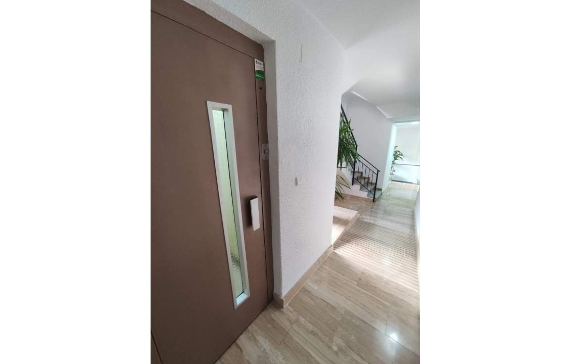 Quarto 120 m², Elx / Elche