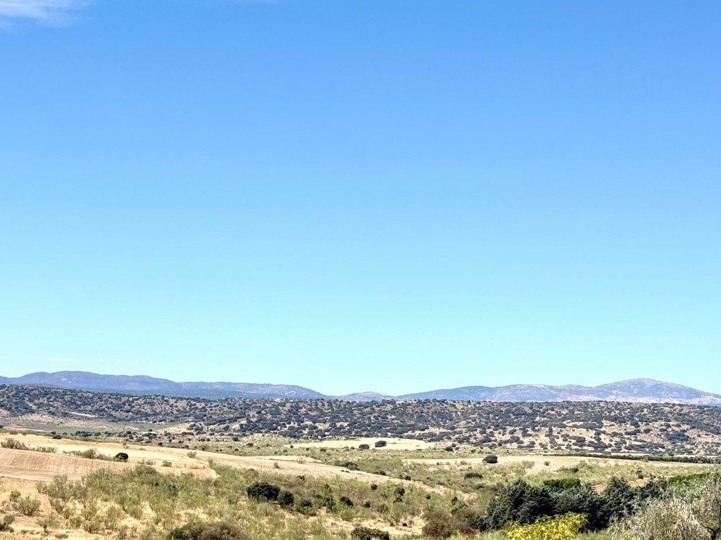 Casa de 300 m² a Villanueva de la Cañada