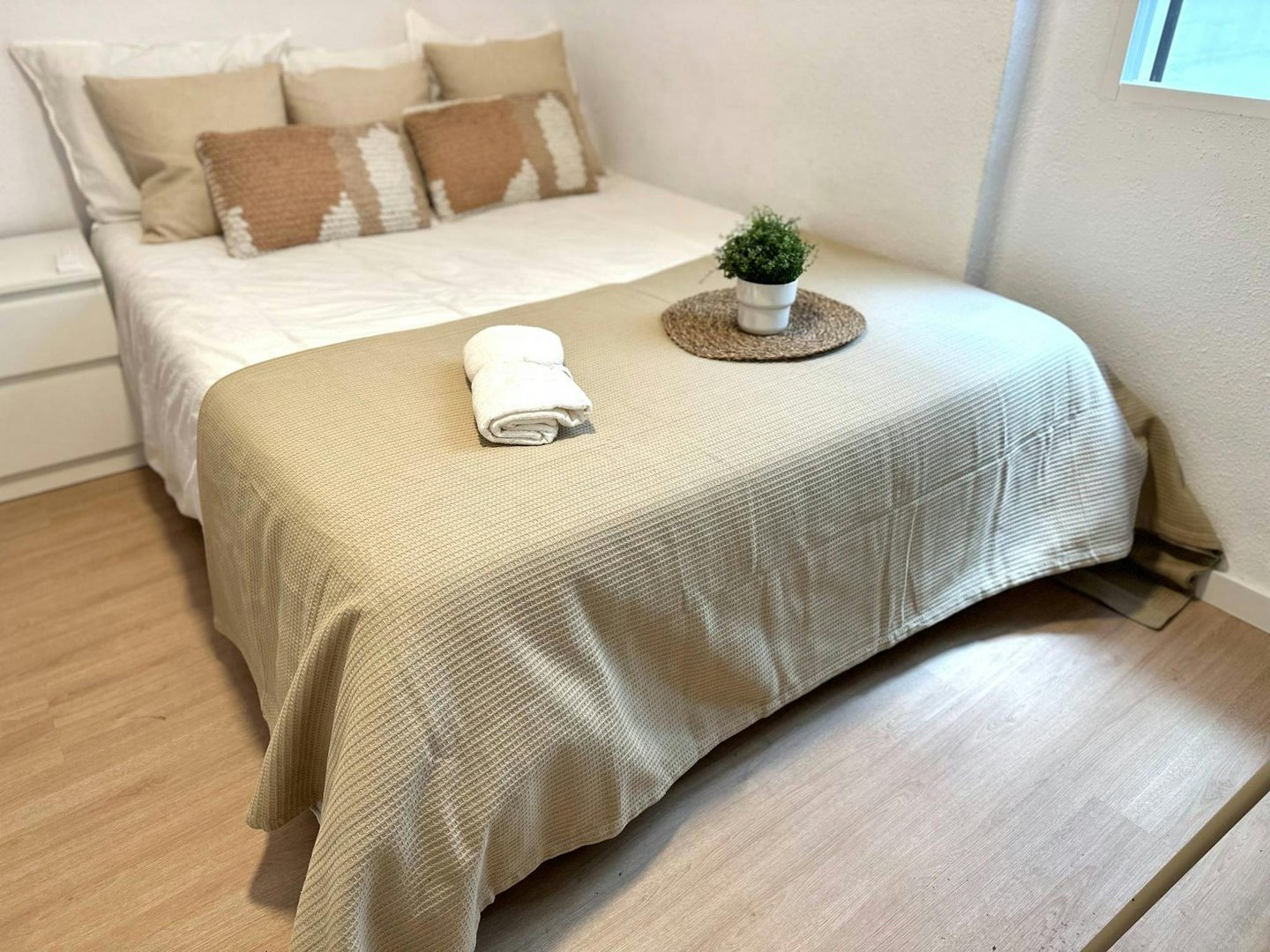 Stanza in affitto, Valencia