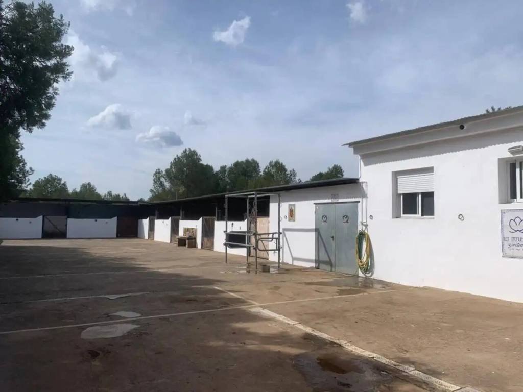 Piso de 125 m² en Ribesalbes