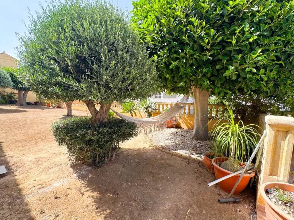 Appartement 223 m² à San Miguel de Salinas