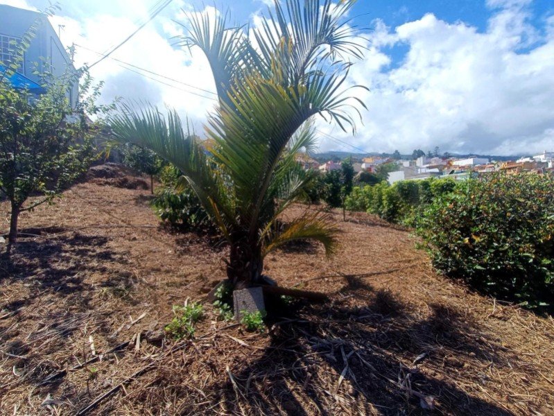 Casa de 100 m² en La Orotava