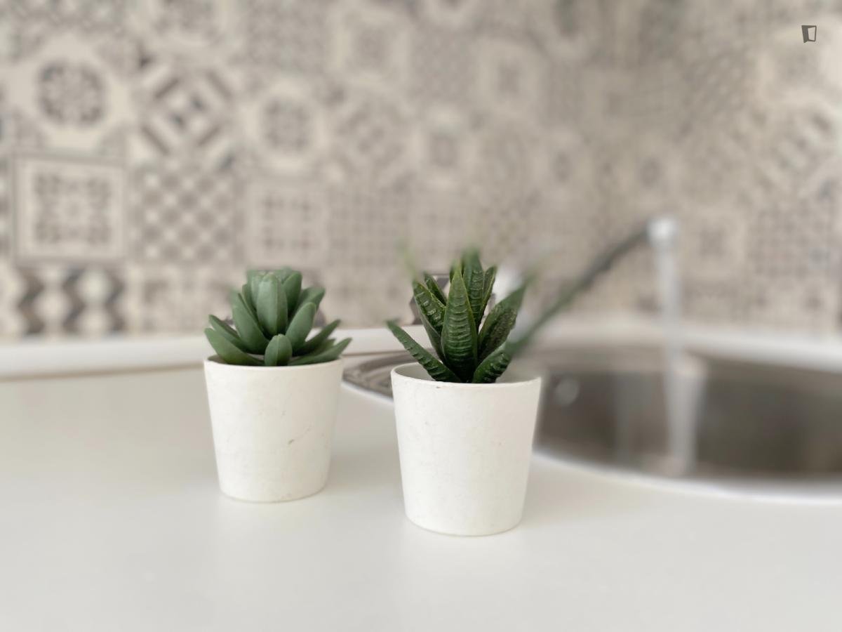Habitación en alquiler, Sevilla