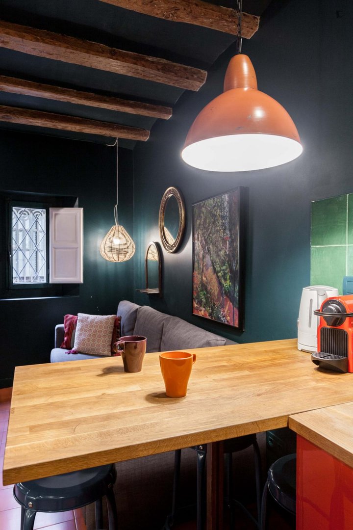 Piso de 28 m² en Barcelona