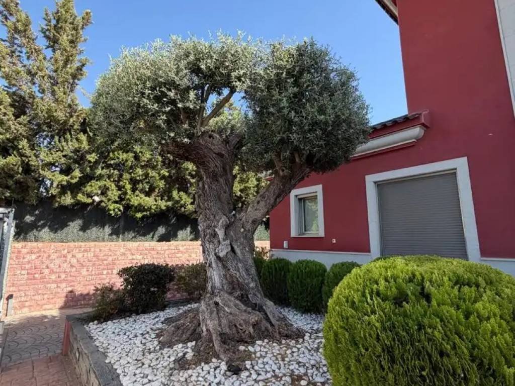 Casa de 600 m² en Elche