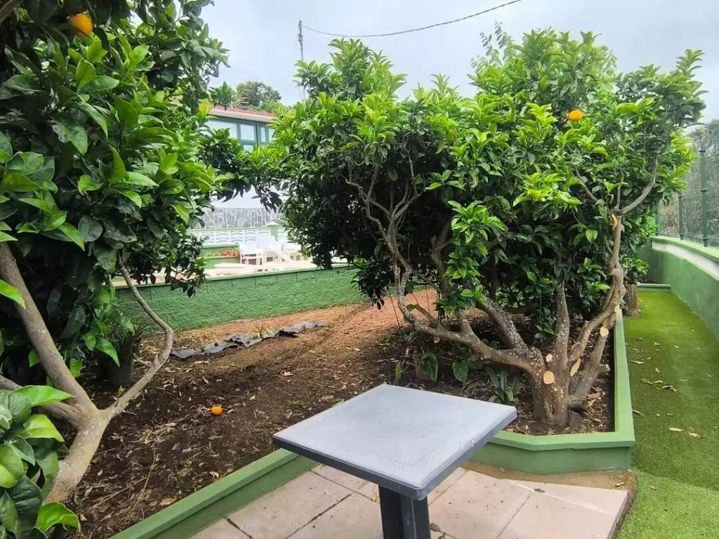 Piso de 50 m² en La Orotava