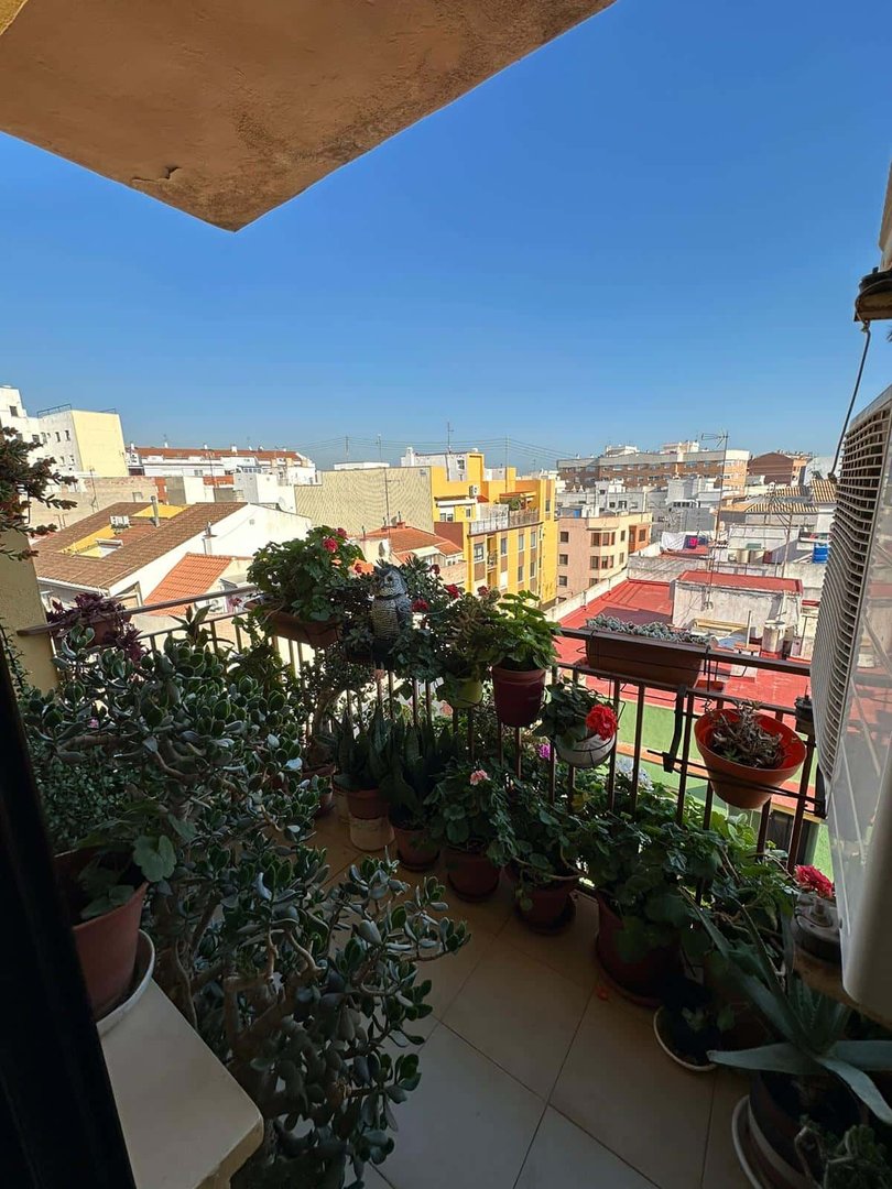 Habitació de lloguer, Castelló de la Plana