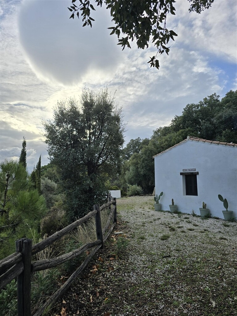 Квартира 225 м² в Jubrique