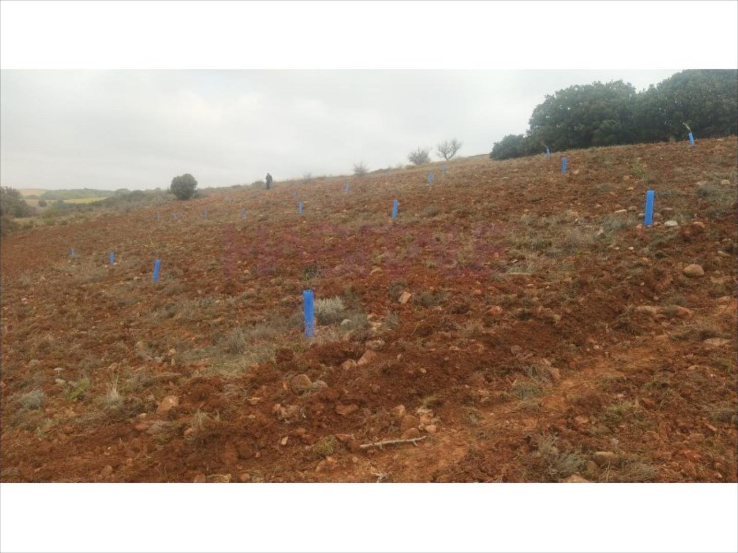 Pis de 3383 m² a Clarés de Ribota