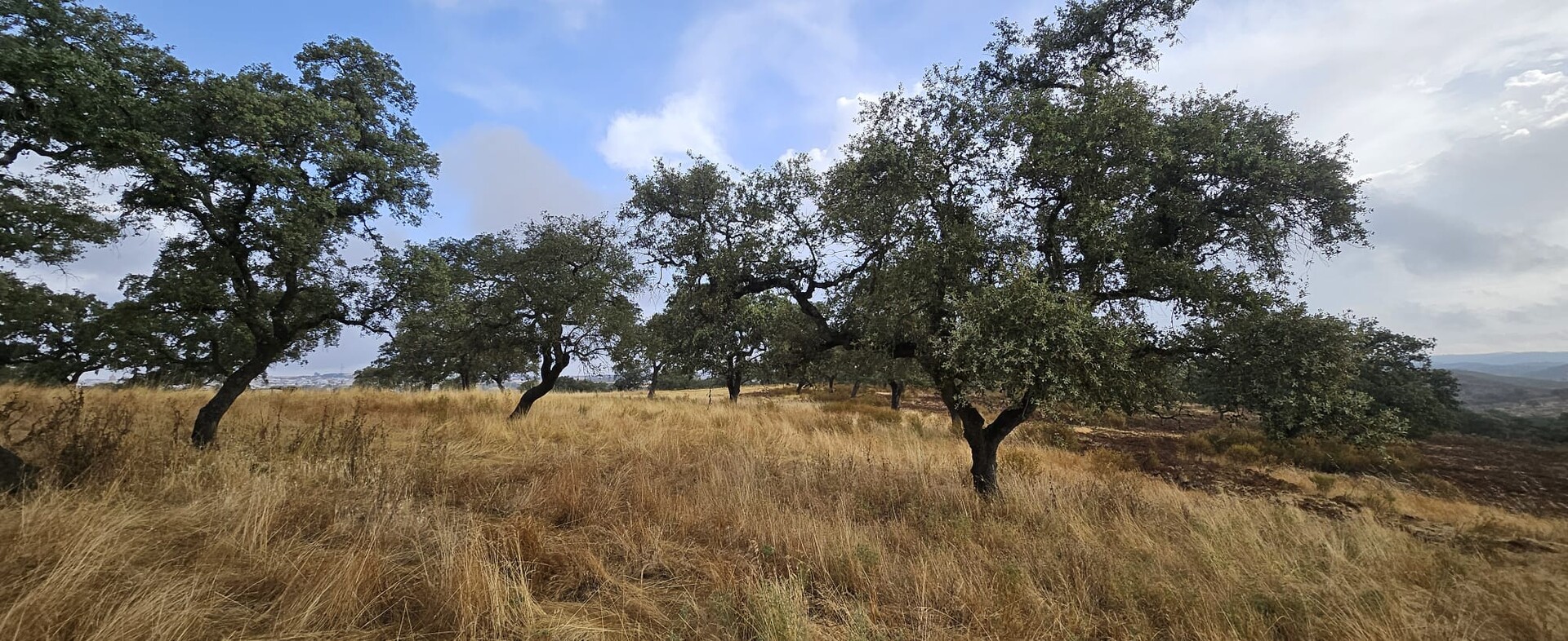 Piso de 90000 m² en Valverde del Camino