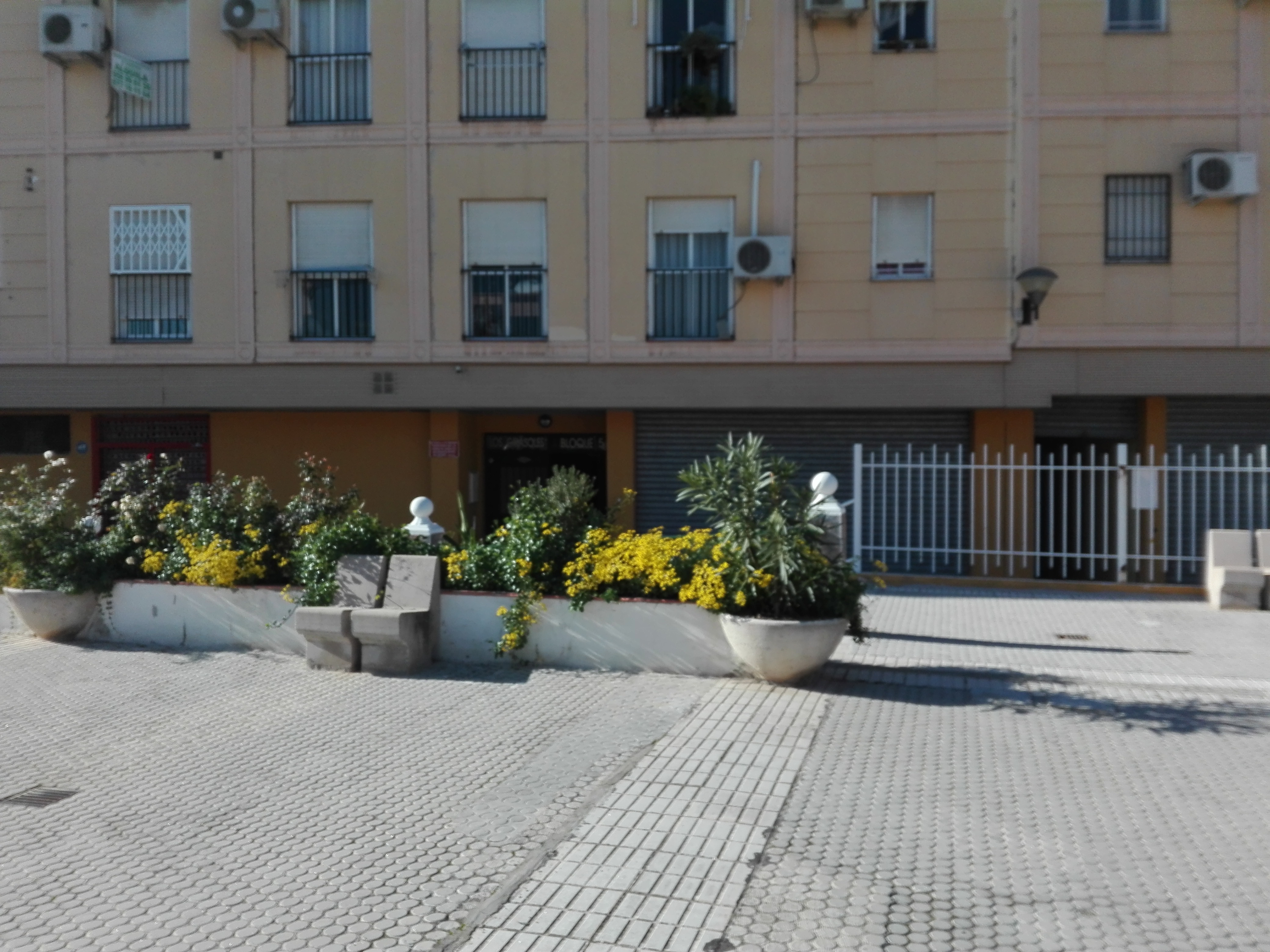 Habitación 100 m², Granada