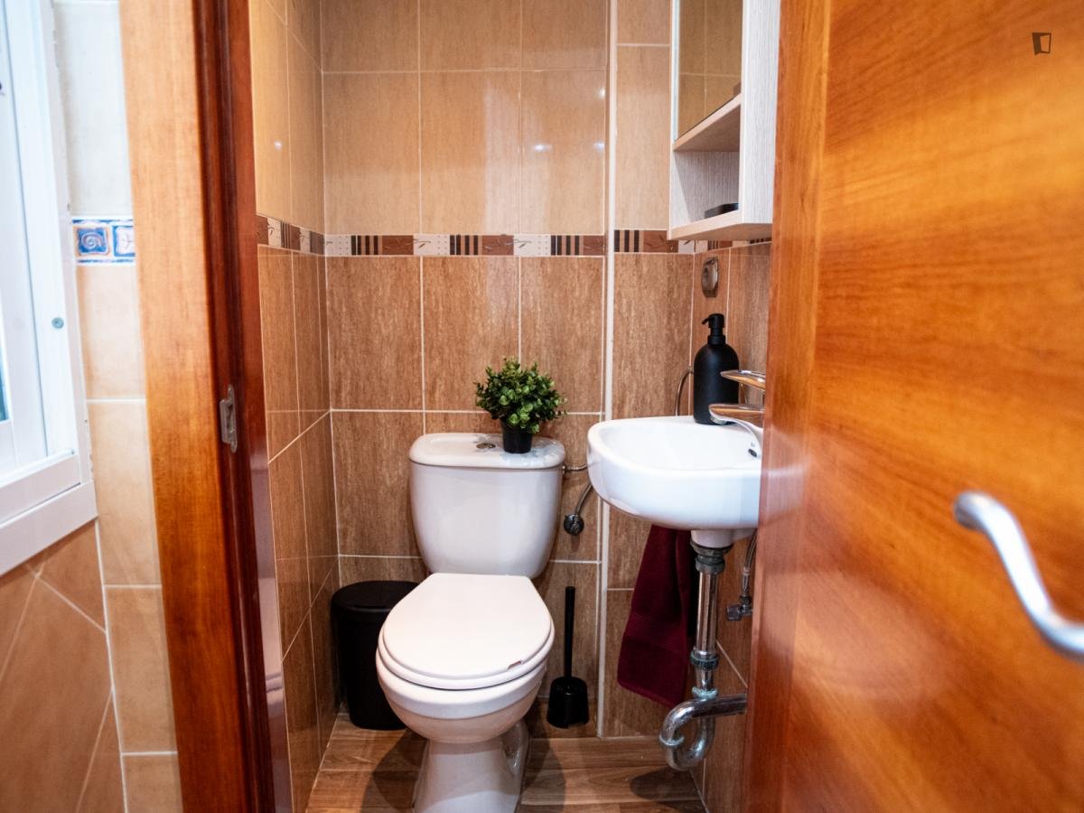 Habitació de lloguer, Alacant
