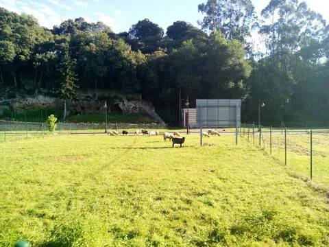 Pis de 60 m² a Llanes