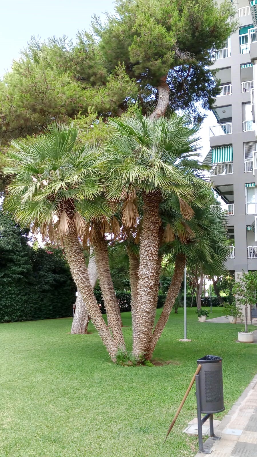 Piso de 130 m² en Benicasim