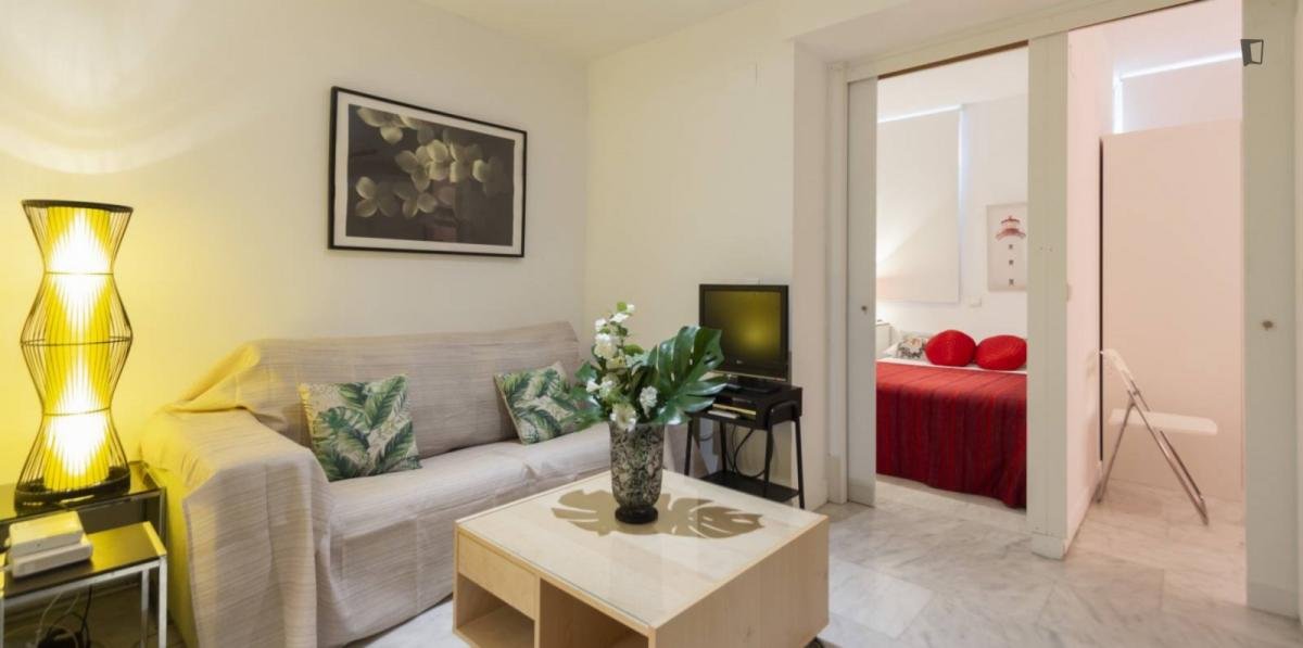 Pis de 35 m² a Madrid