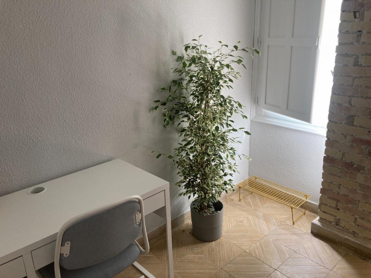 Habitació de lloguer, Alacant