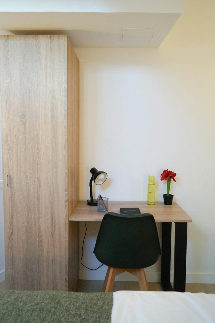 Stanza in affitto, Madrid
