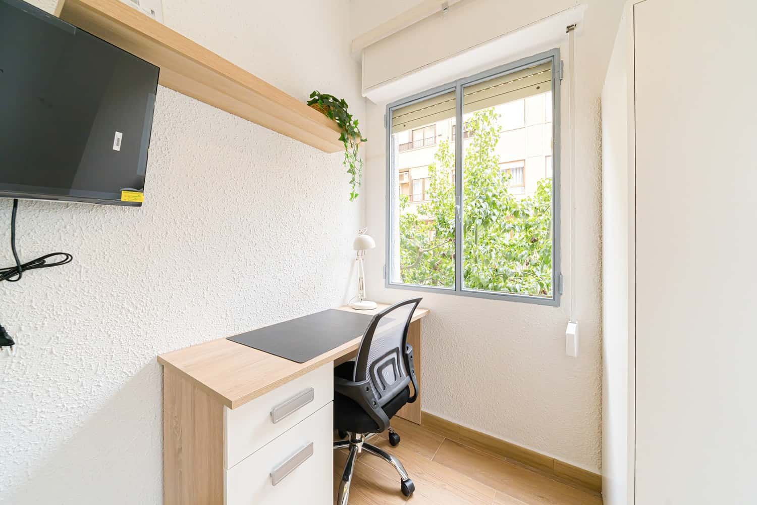 Habitació de lloguer, Elx