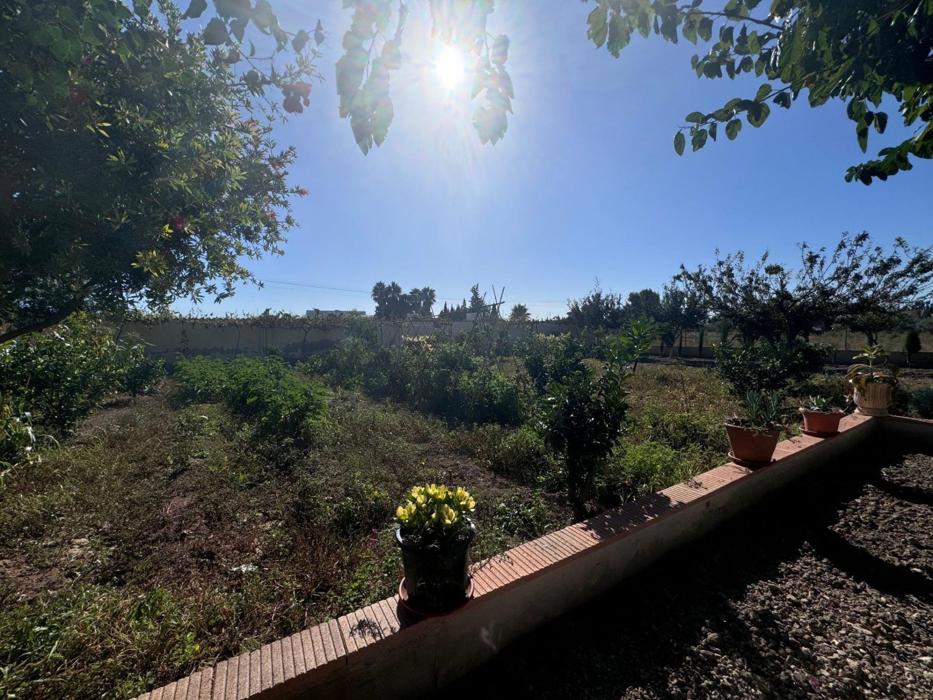 Casa de 169 m² en Daya Vieja