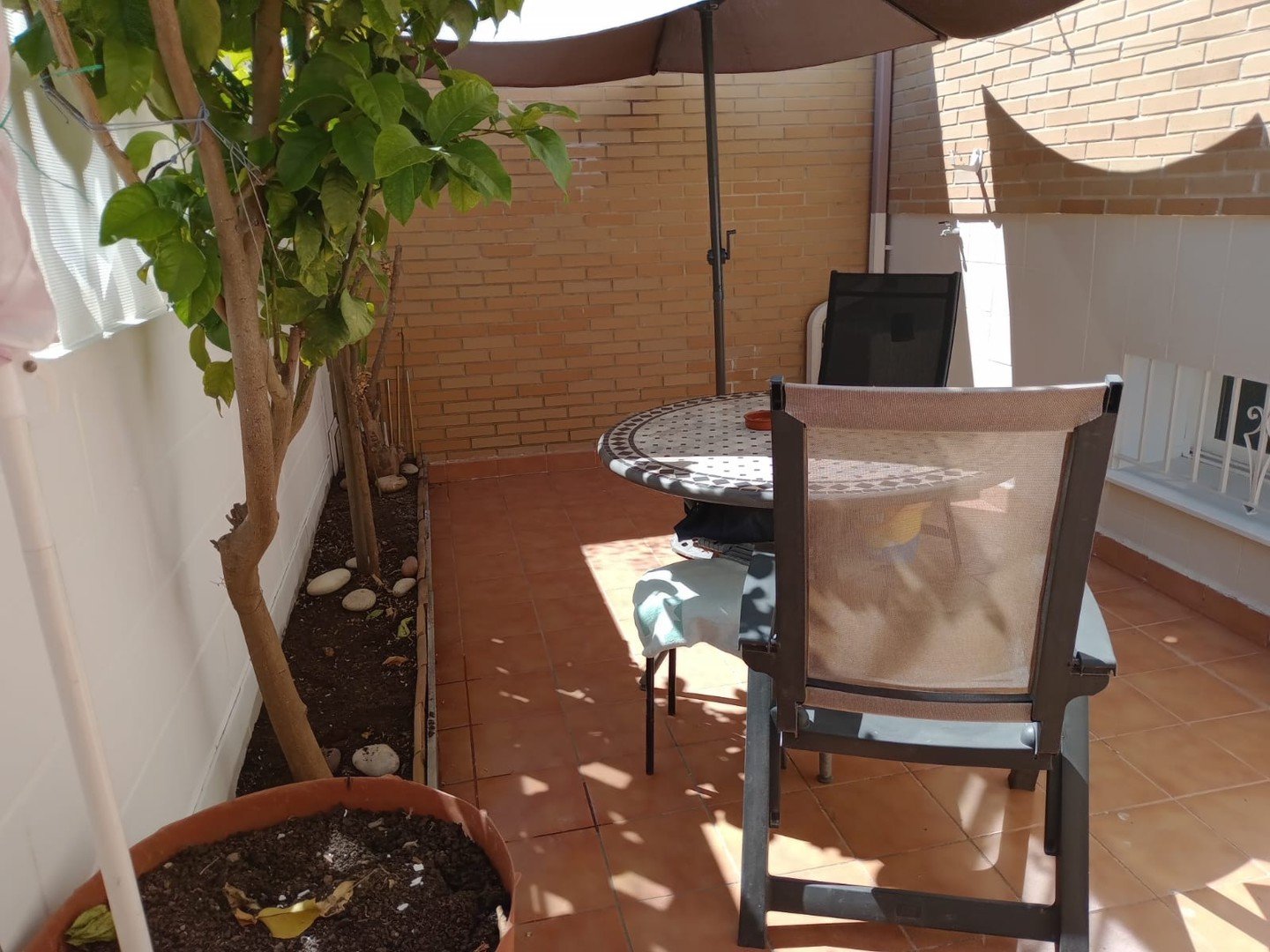 Piso de 234 m² en Xirivella