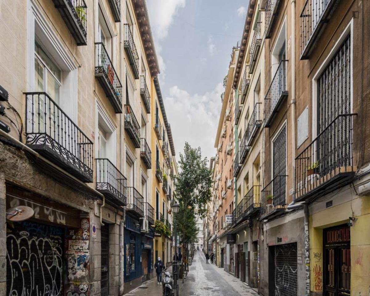 Stanza in affitto, Madrid