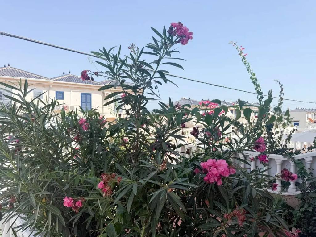 Maison 64 m² à Santa Pola