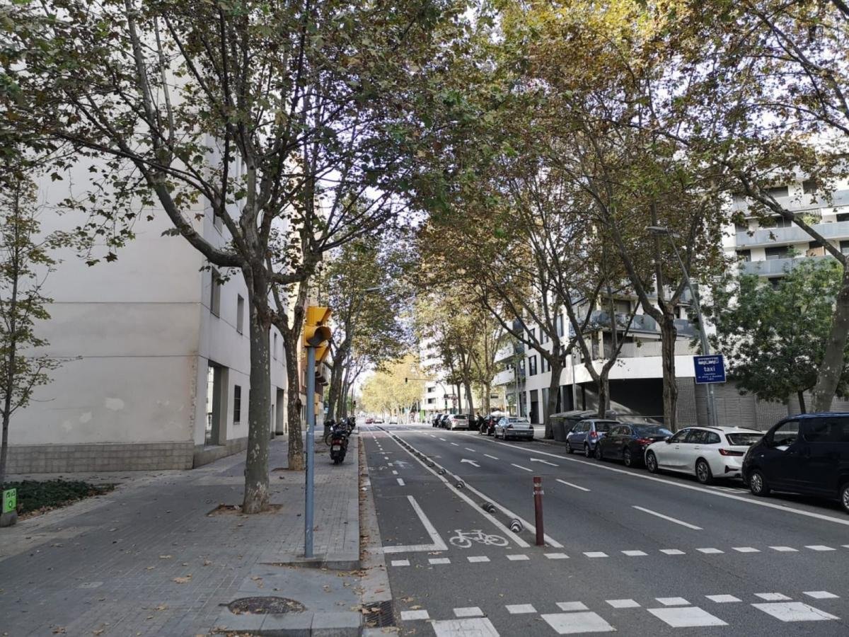 Habitació de lloguer, Barcelona