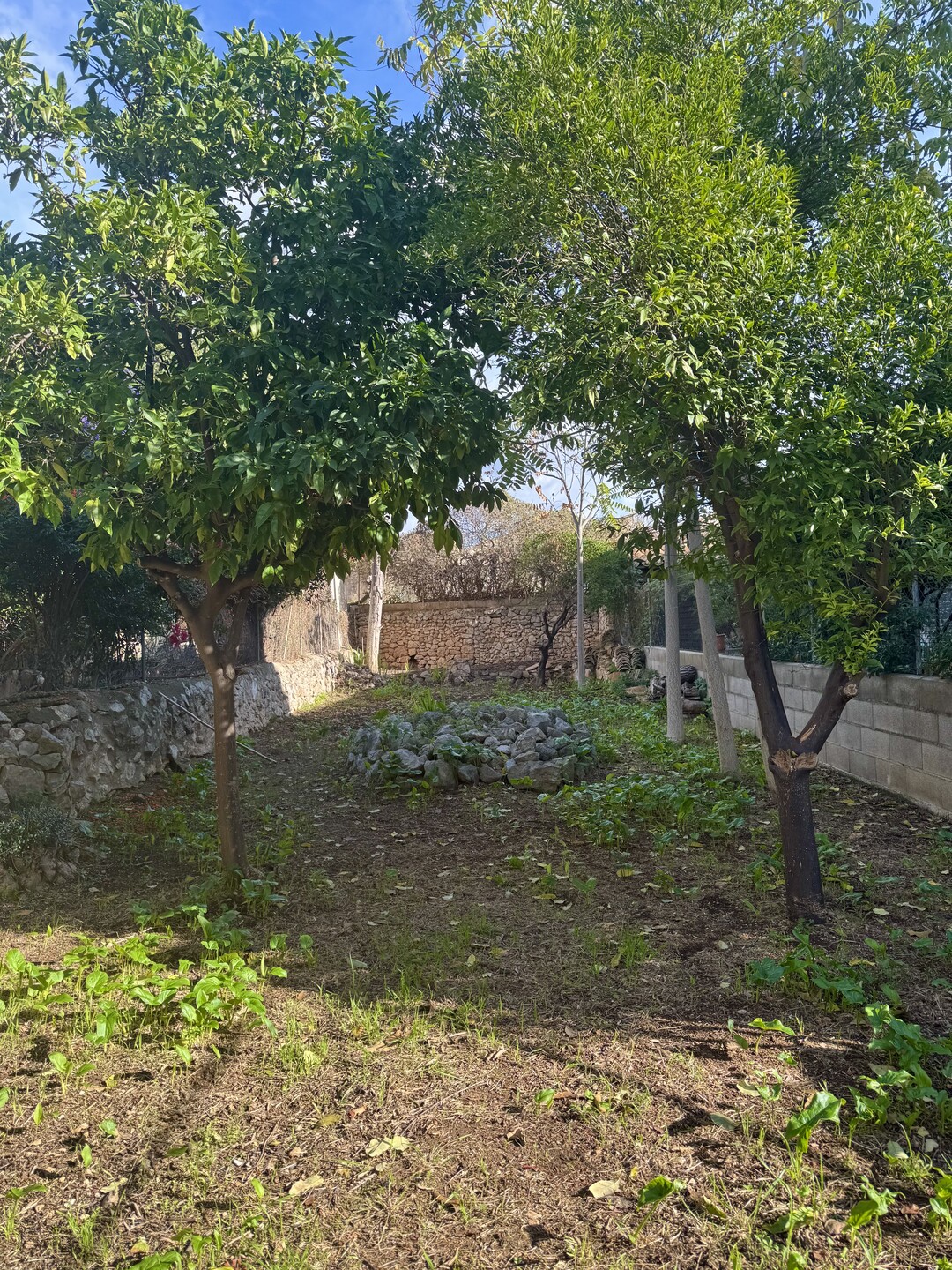 Casa de 121 m² a Alaró