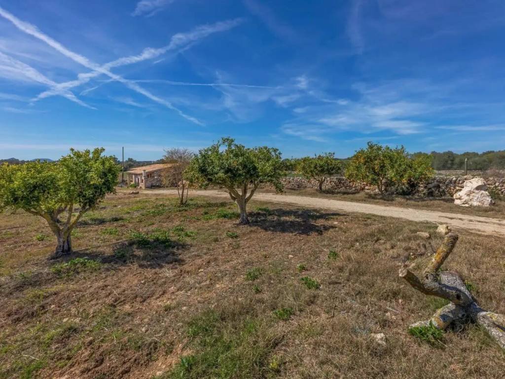 Casa de 70 m² en Santa Margalida