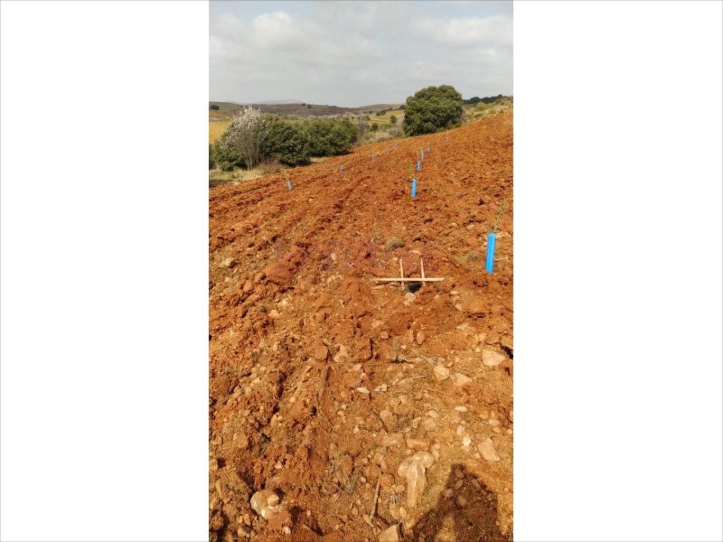 Pis de 3383 m² a Clarés de Ribota