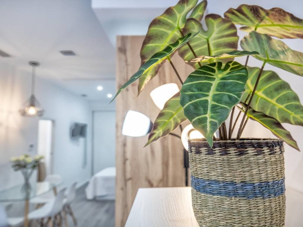 Wohnung 52 m² in Córdoba