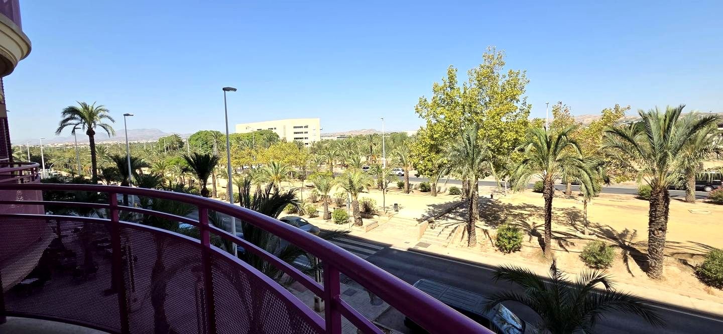 Habitación 100 m², Elche