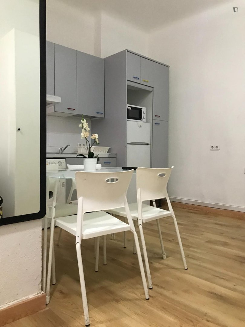 Pis de 21 m² a Madrid