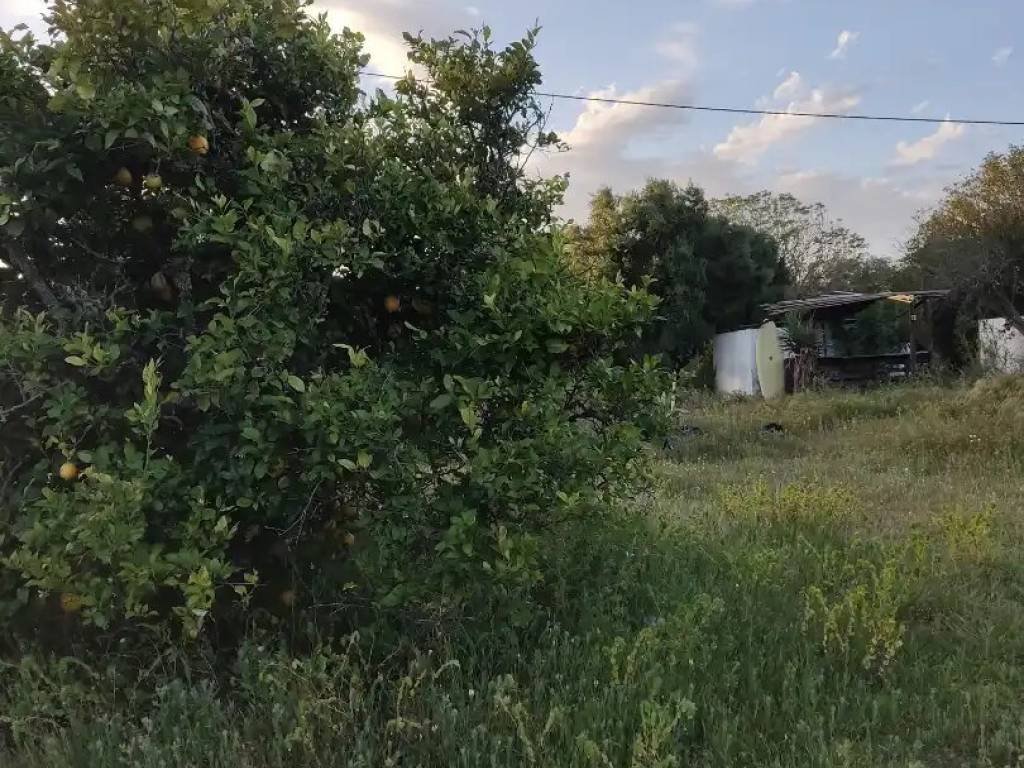 Appartamento 60 m² a Vejer de la Frontera