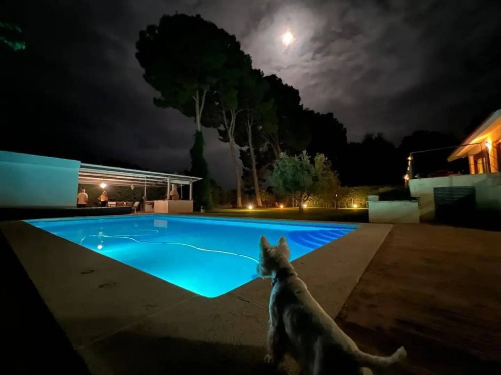Casa de 350 m² en Albacete