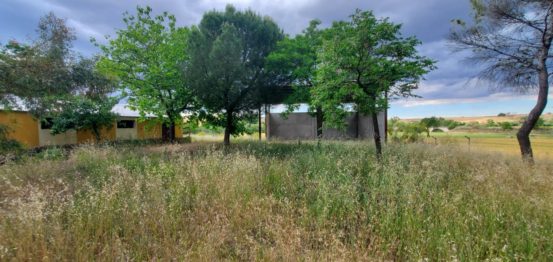 Pis de 13400 m² a Bargas