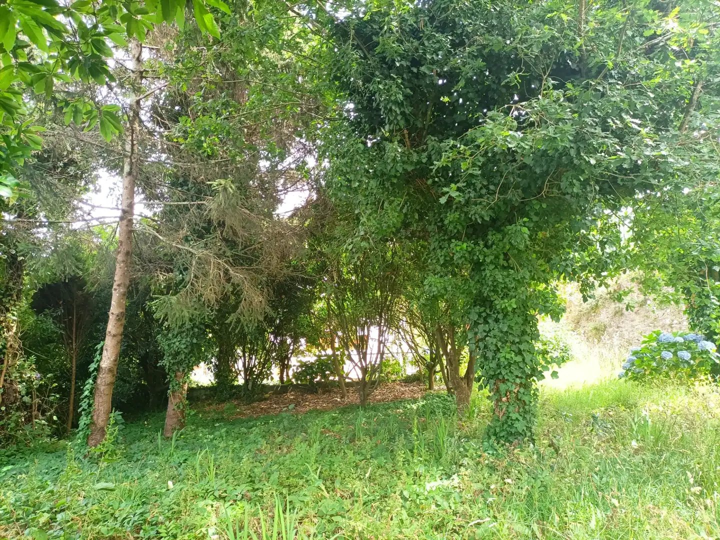 Casa de 500 m² en A Guarda
