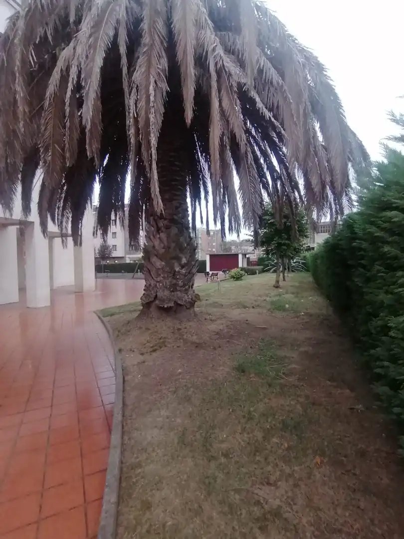 Pis de 50 m² a Gijón