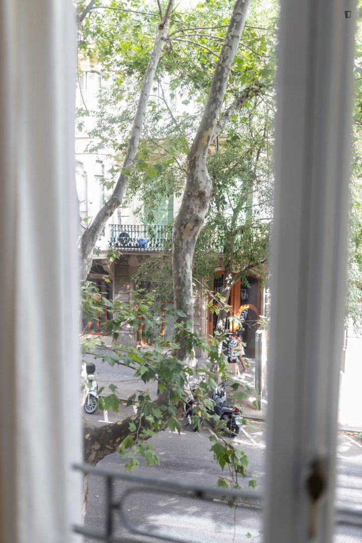 Stanza in affitto, Barcelona