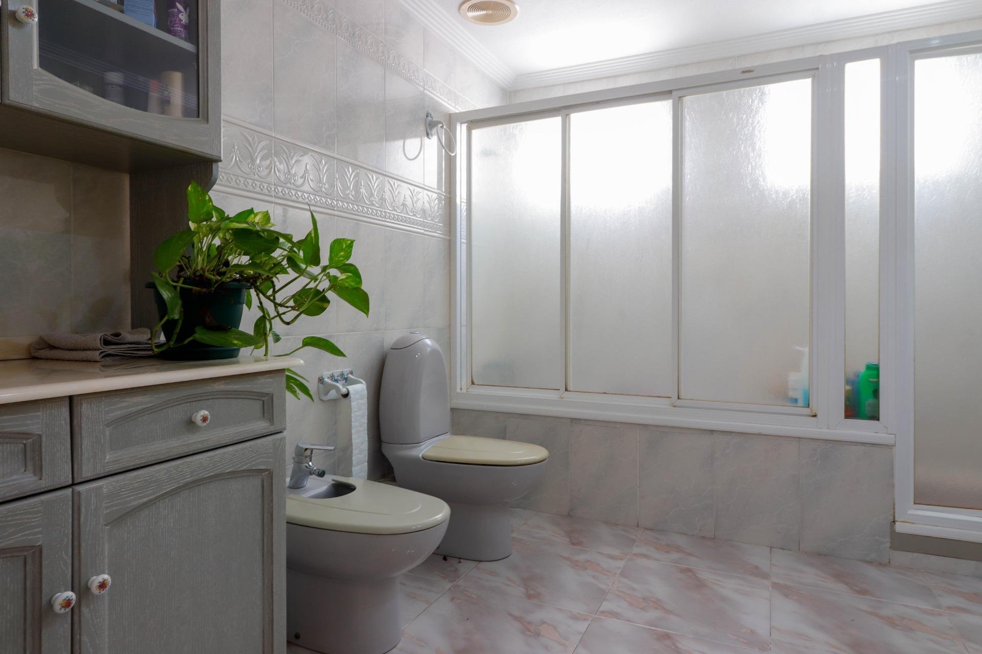 Room 111 m², Elx / Elche
