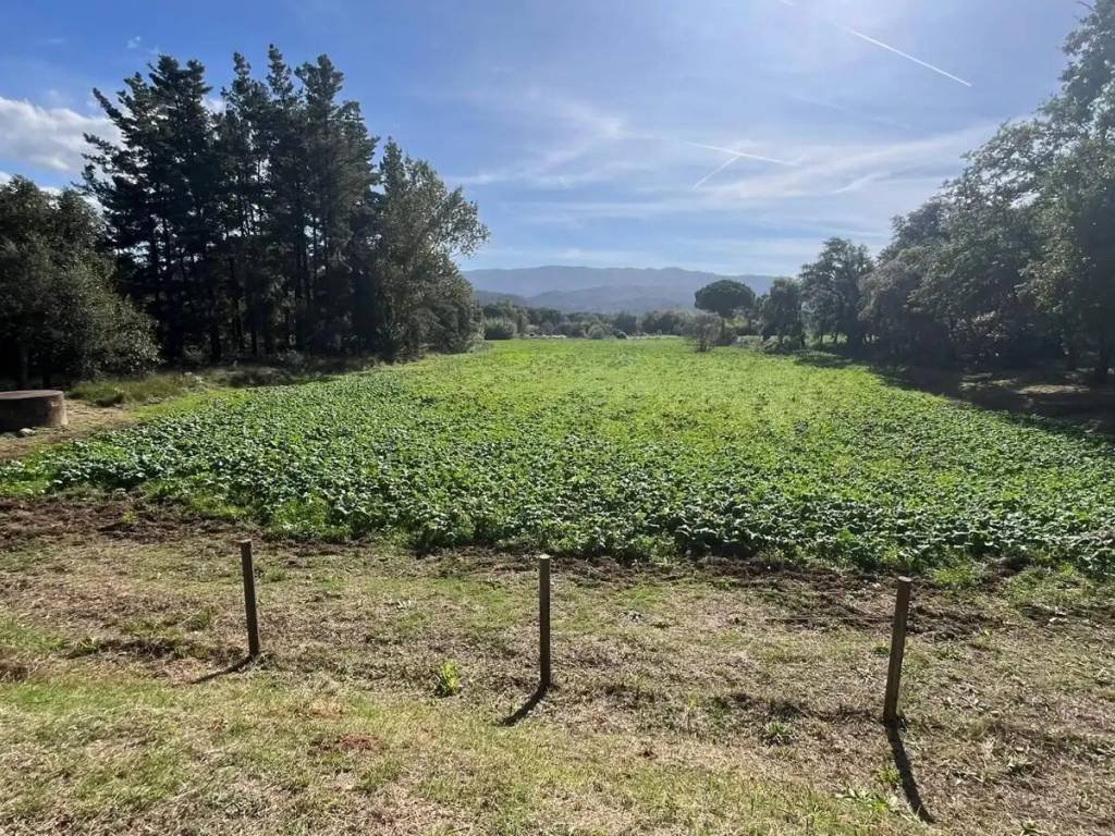Piso de 311 m² en Riells i Viabrea